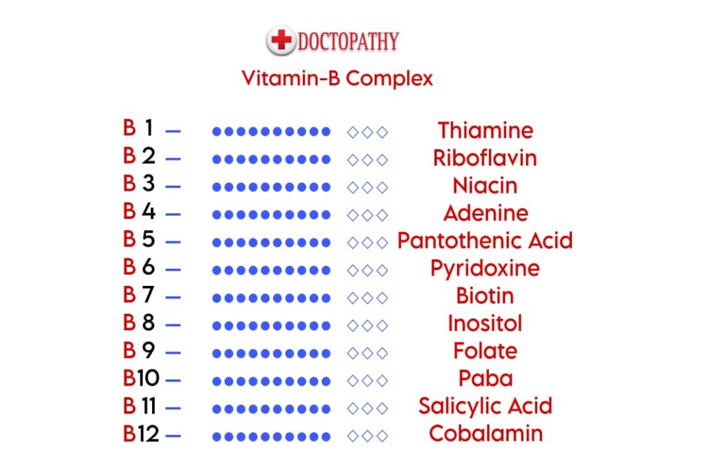 parts of Vitamin B-Complex
