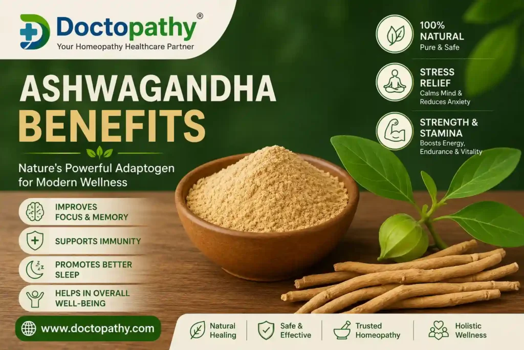 Benefits of Ashwagandha: Ancient Ayurvedic Herb for Modern Health