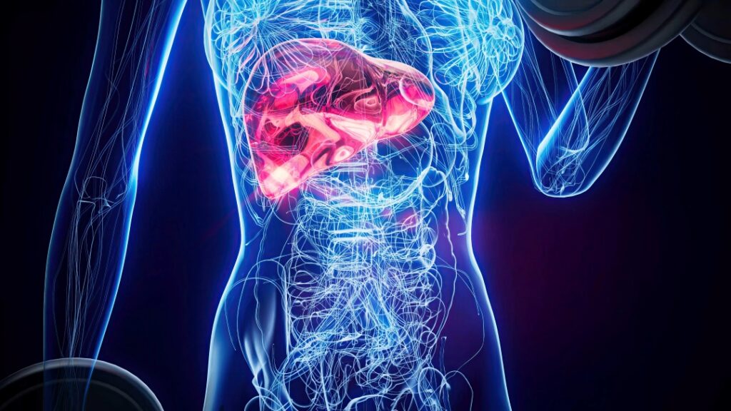 Fatty Liver Disease